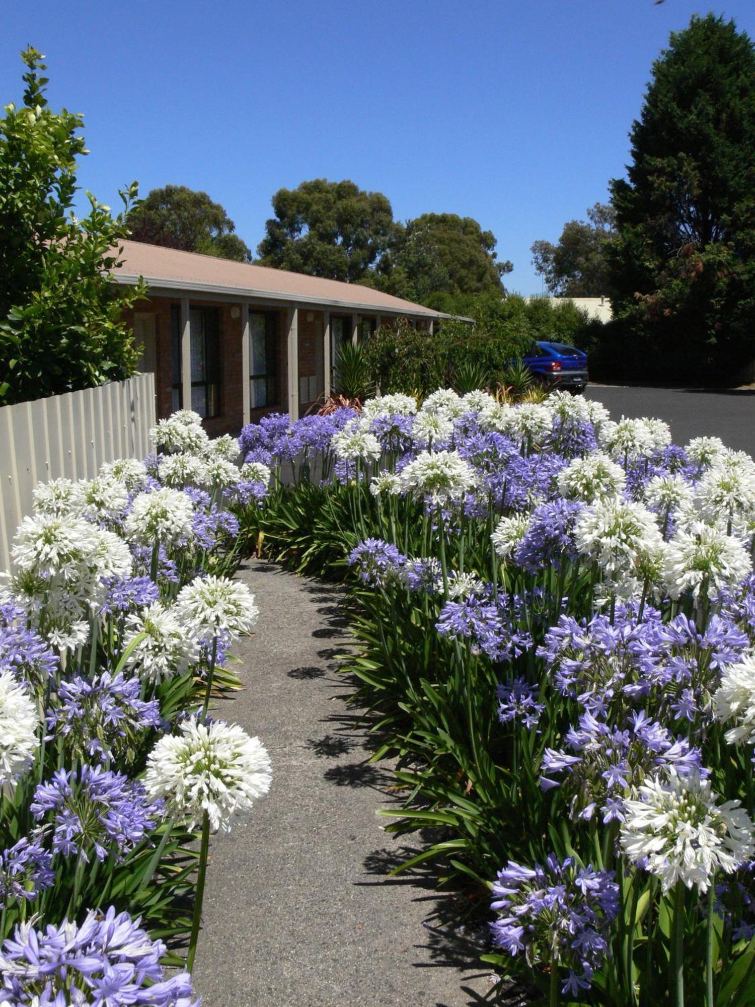 Begonia City Motor Inn Ballarat Luaran gambar